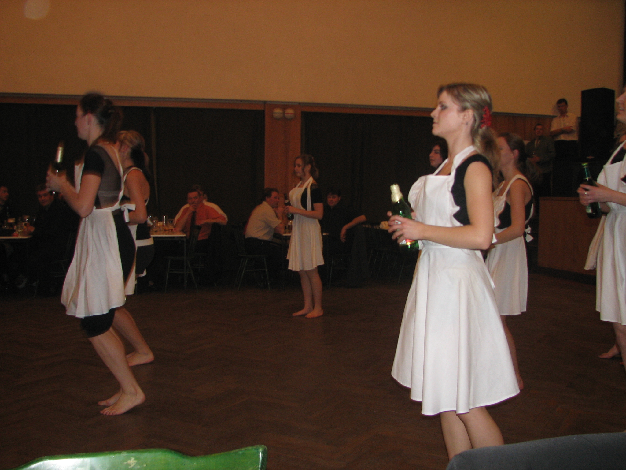 ples Předín 2010 077.jpg